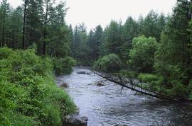 beautiful river.jpg