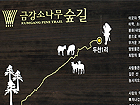 길을 만나다 ‘금강소나무숲길’로 오시더~~