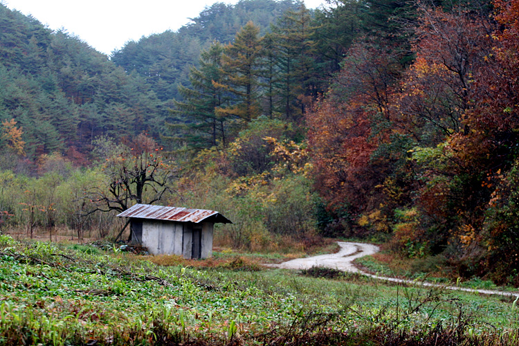 [2013년 목표 사업] 숲길