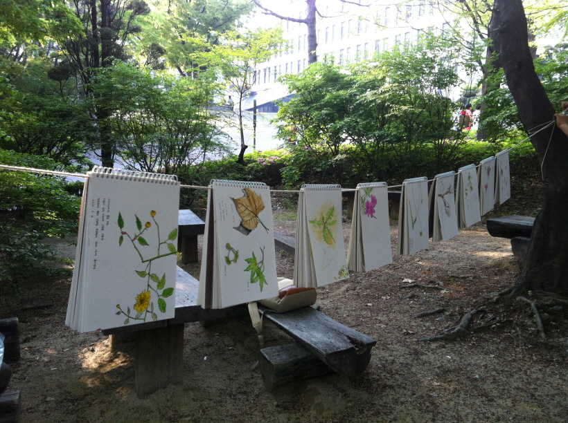 [강좌후기] 십년후 화첩을 선물해 줄 산타클로스 같은 생태드로잉
