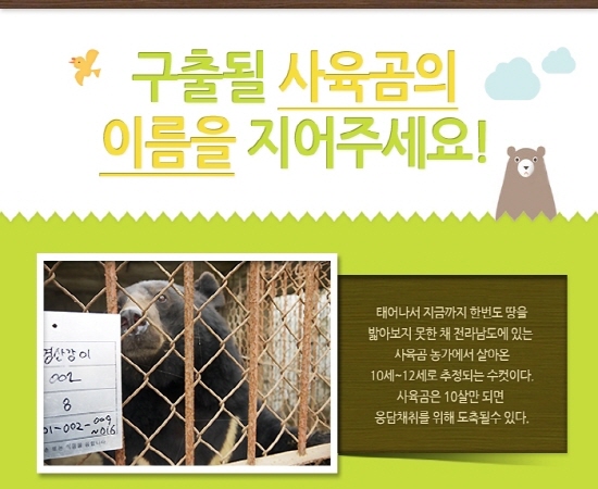 구출 될 사육곰의 이름을 지어주세요!