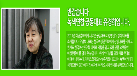 [녹색+] “녹색연합의 2013년 각오, 한 번 들어보시겠어요?” (2013년 제3호)