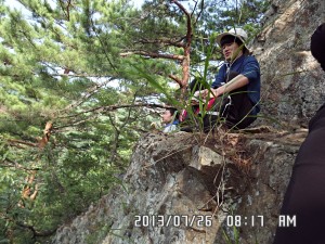 SAM_1222