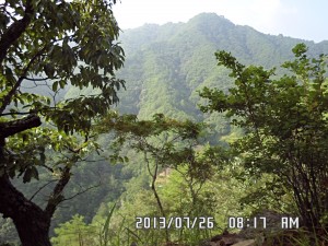 SAM_1223