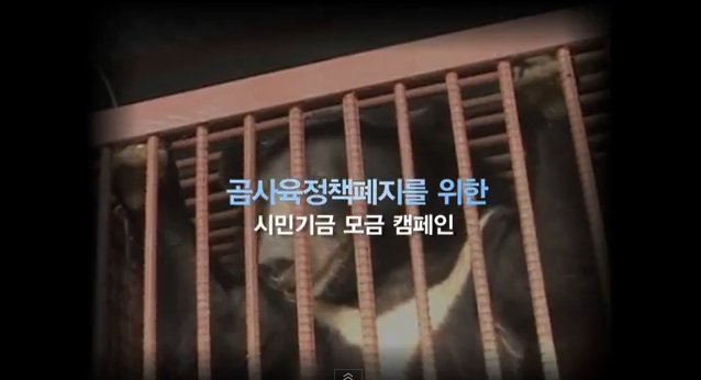 우리의 직접행동! 사육곰을 구출하라