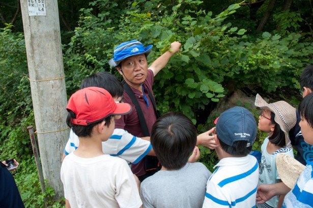 하늘소 선생님과 함께 숲속에 사는 곤충친구들을 살펴보고 있어요!