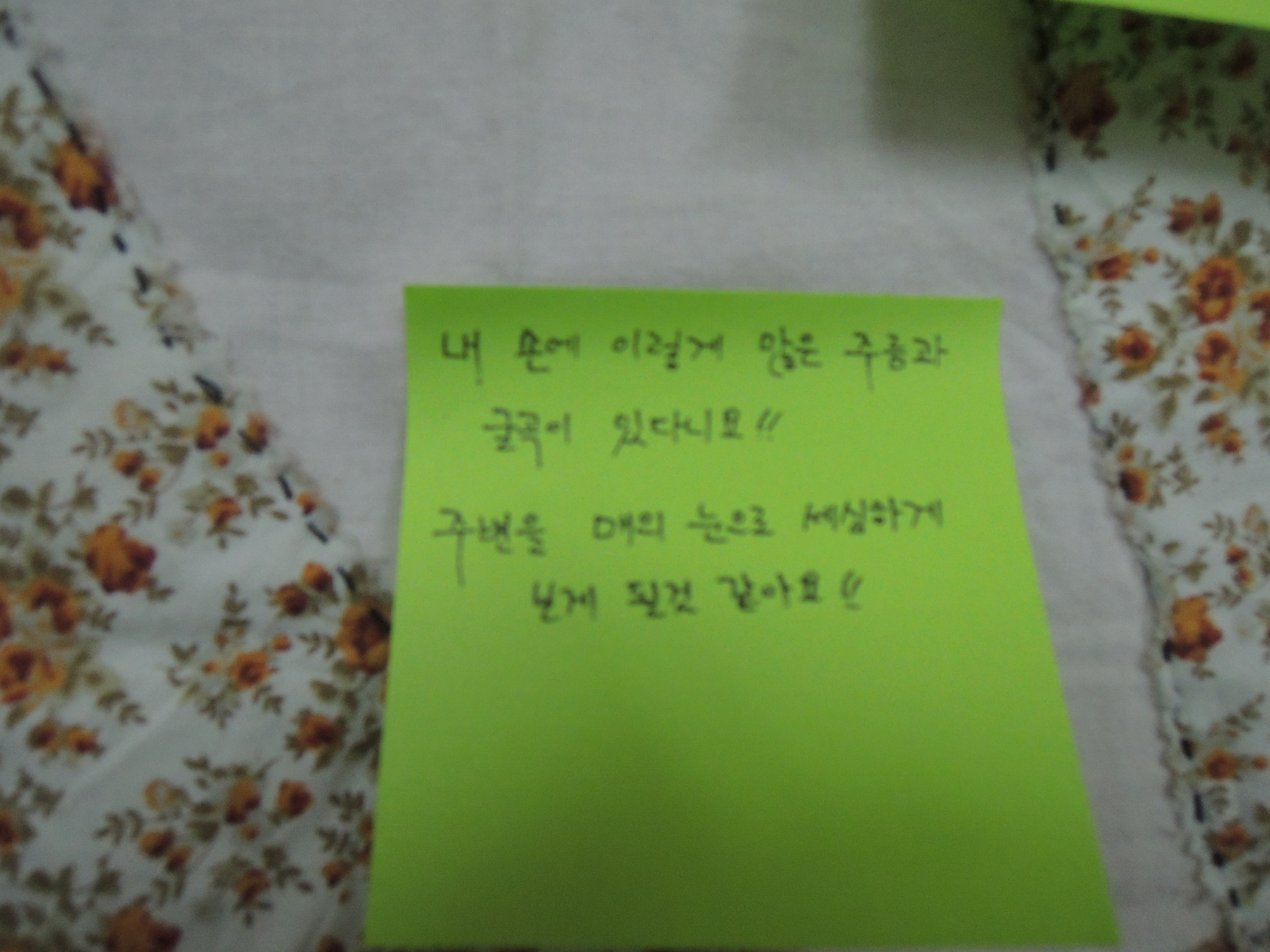 [후기] 생태드로잉 2강- 선을 잘 그리는 비밀