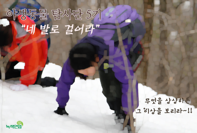 야생동물 탐사단 5기를 모집합니다.