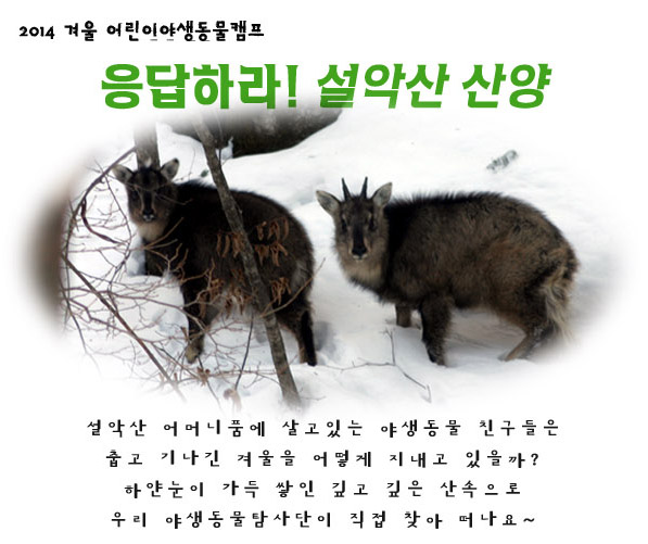 2014 겨울 어린이야생동물캠프 참가자모집 [녹색교육센터]