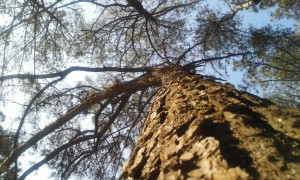 C360_2014-01-22-11-21-10-055_org