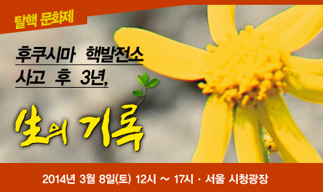 후쿠시마 핵발전소 사고 후 3년, 生의 기록