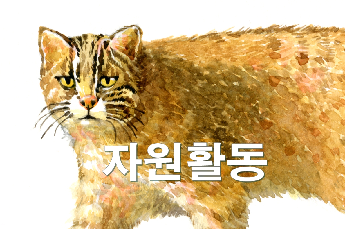 자원활동신청