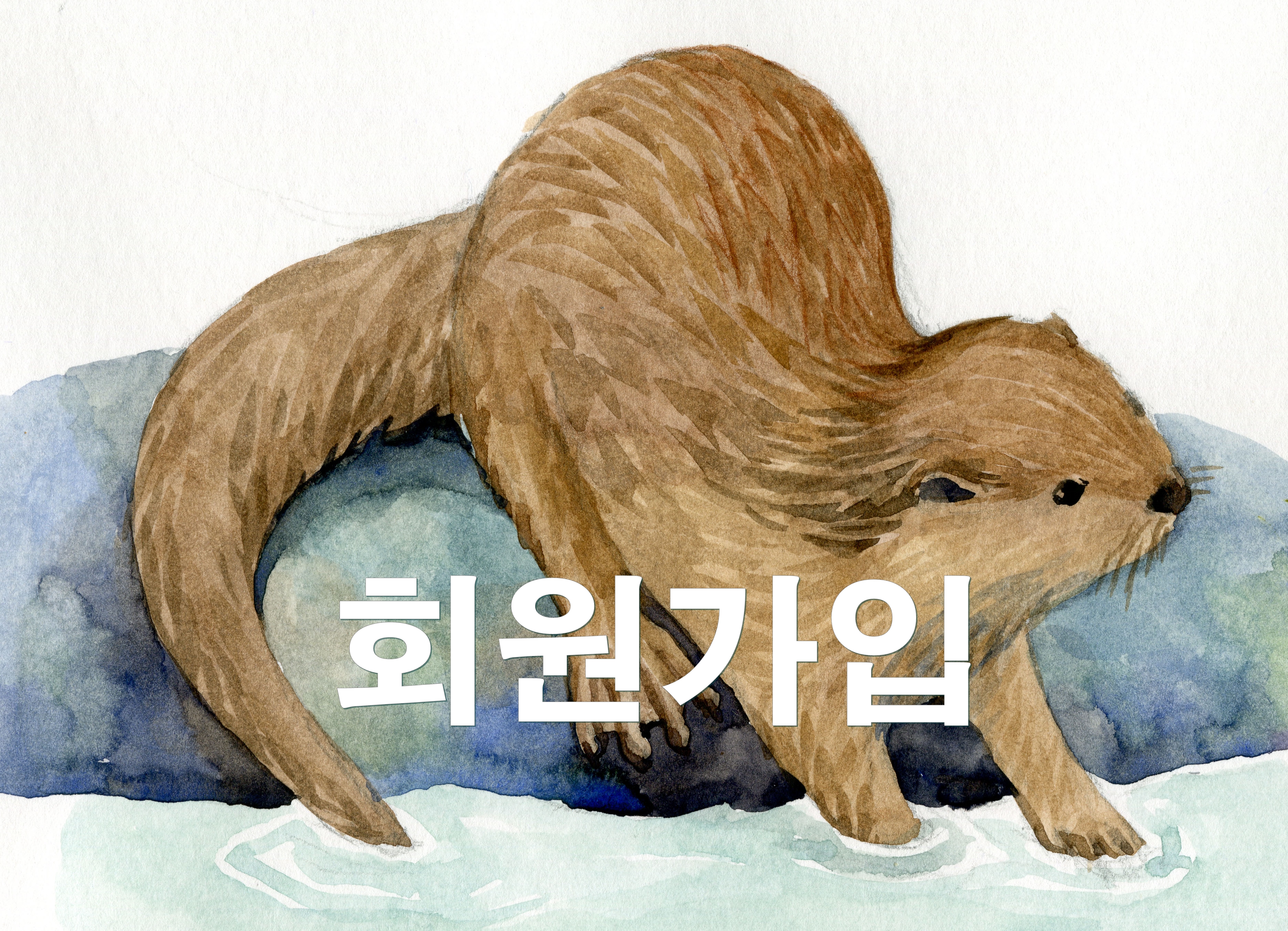 정기후원 회원가입