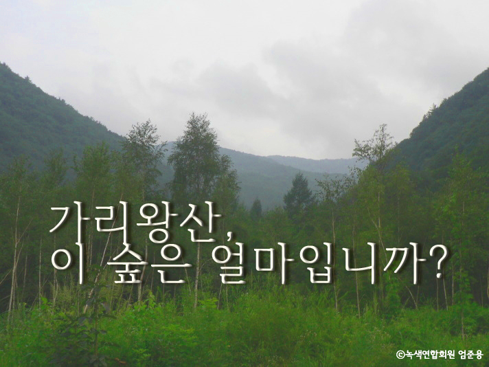 [신청마감]5월 회원현장출동! 가리왕산으로!