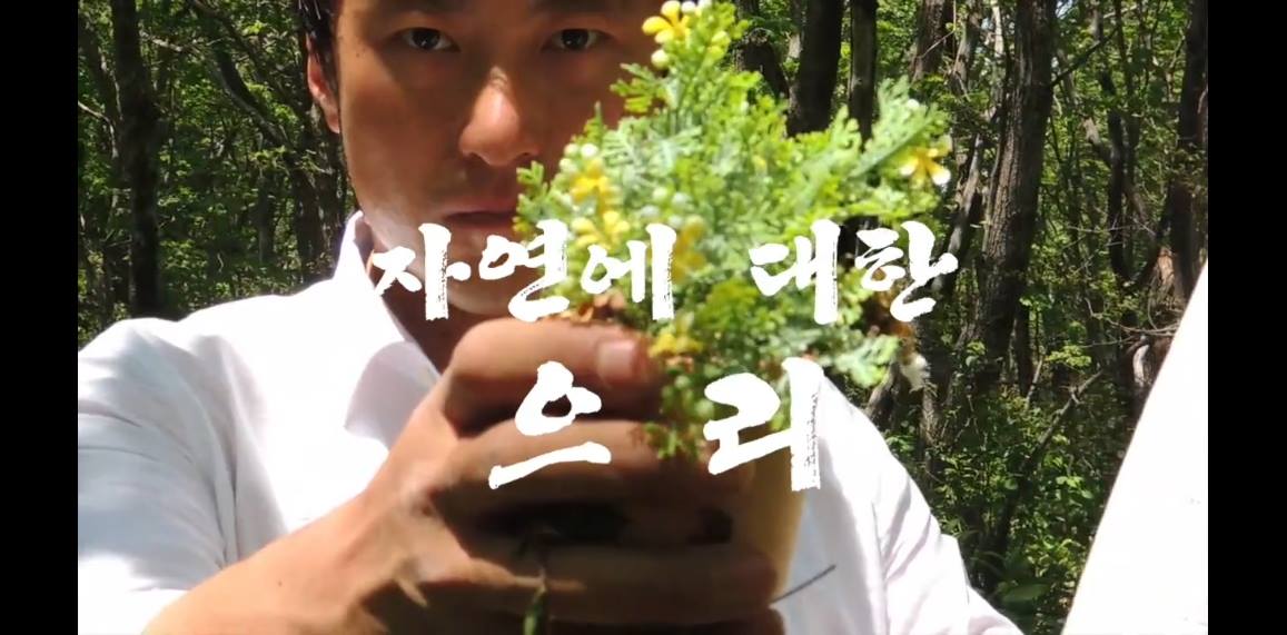 [후원] 자연을 사랑해, 가리왕산 지키기를 희망해.