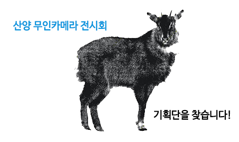산양 무인카메라 전시회를 함께 만들어 갈 기획단을 찾습니다!
