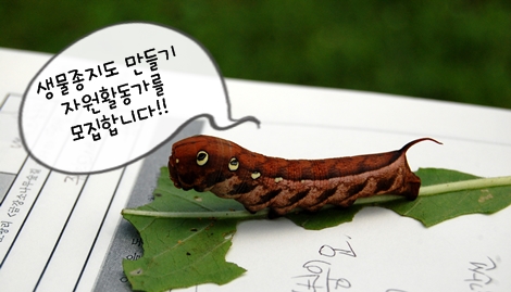 생물종지도 만들기 자원활동가를 모집합니다!