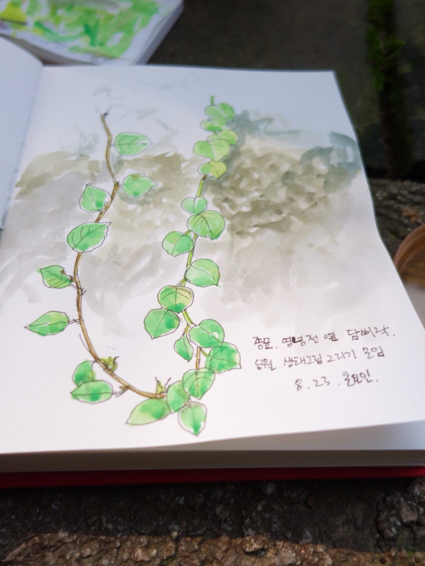 [모집마감]녹색아카데미 가을- 가을을 그리는 생태드로잉