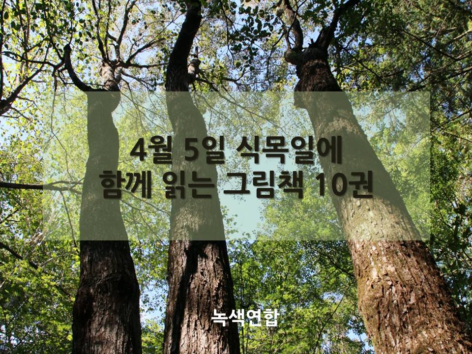 식목일에 함께 읽는 그림책 열 권