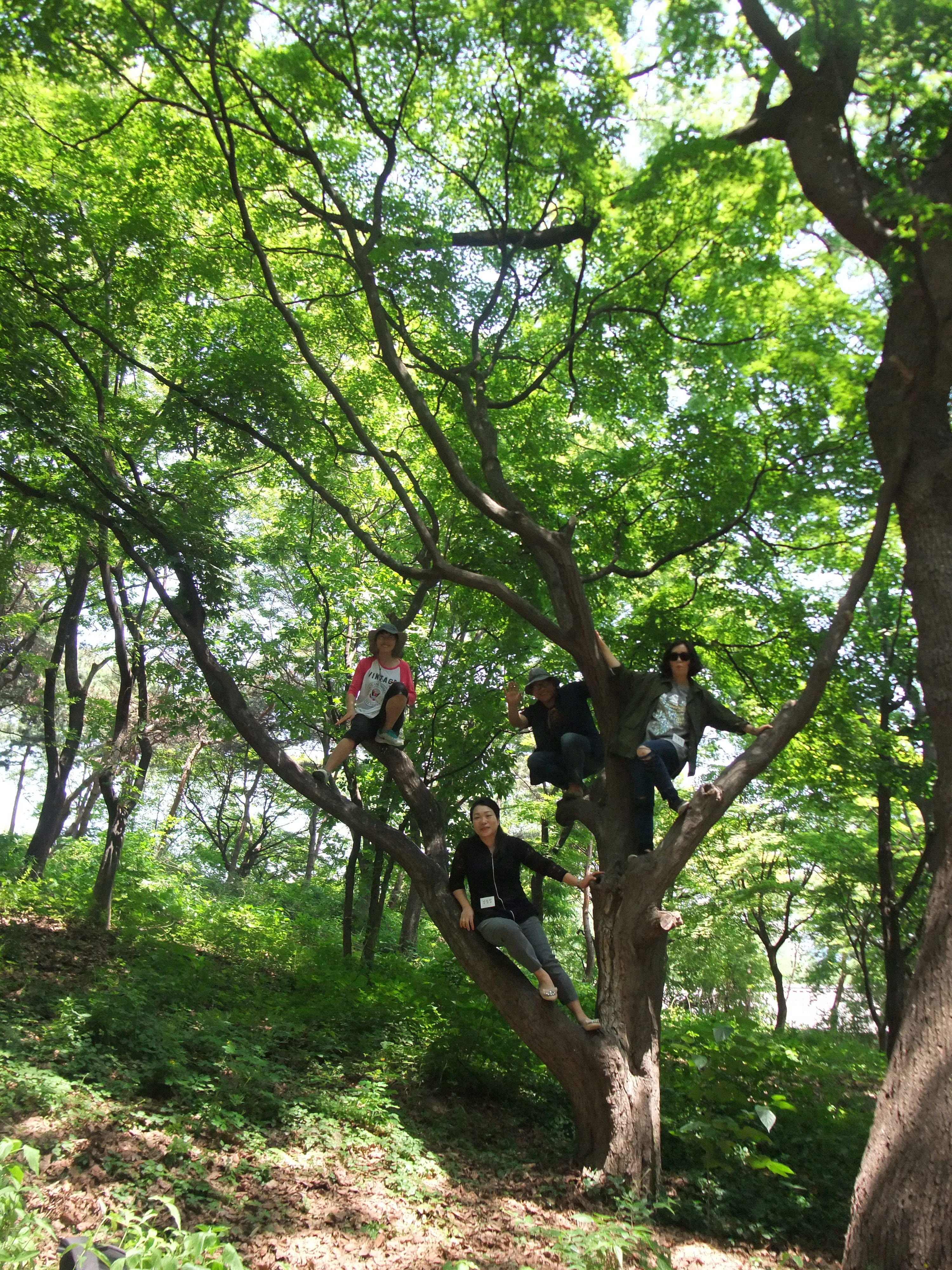 [후기] 어른을 위한 숲놀이 – 나 지금 주머니에 연륜 있음