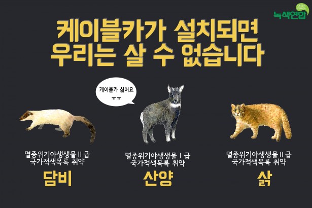 2. 설악산야생동식물_녹색연합