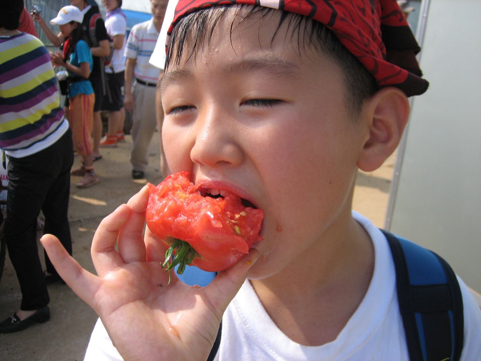 2015 어린이자연학교 참가자 모집