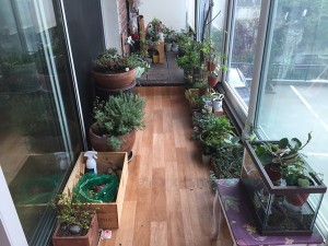 re_IMG_4309