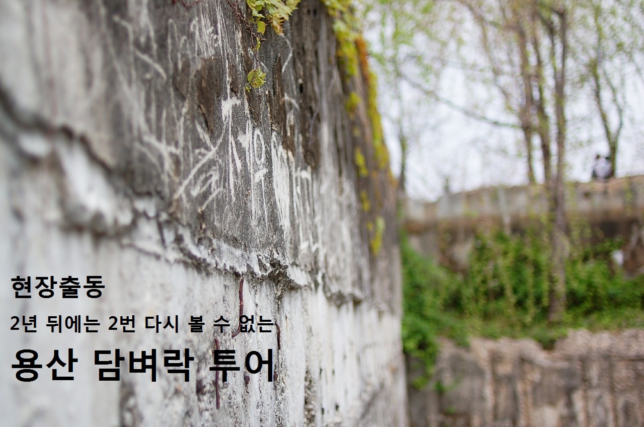 [신청] 4월 현장출동_ 용산 담벼락 투어