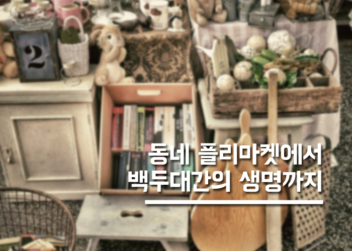[후원] 동네 플리마켓에서 백두대간의 생명까지