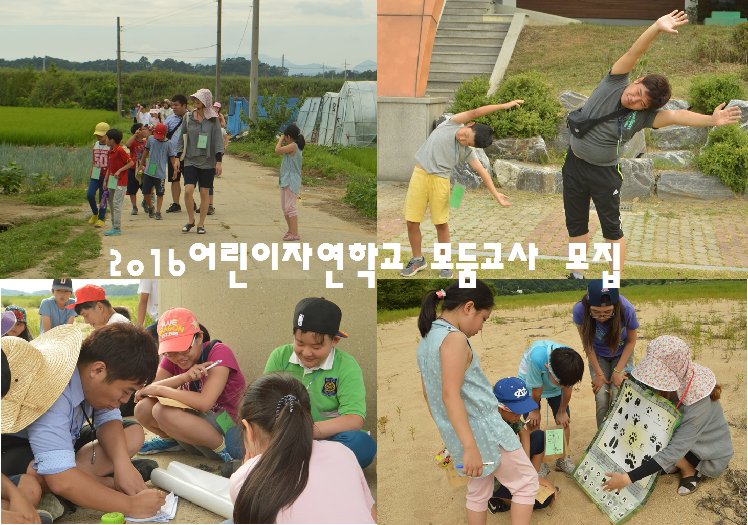 [참가신청] 2016 어린이자연학교 모둠교사
