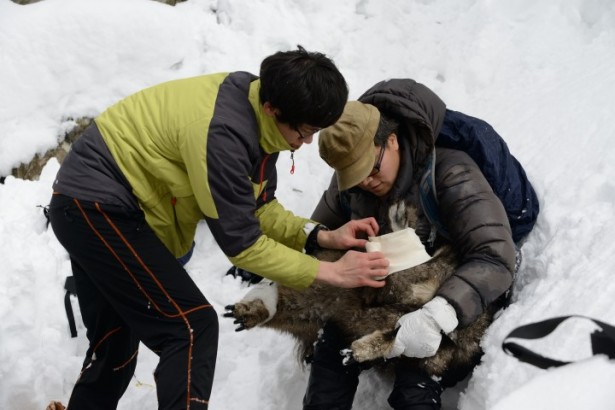 산양_구조