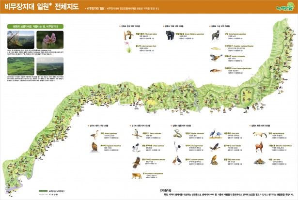 dmz_map