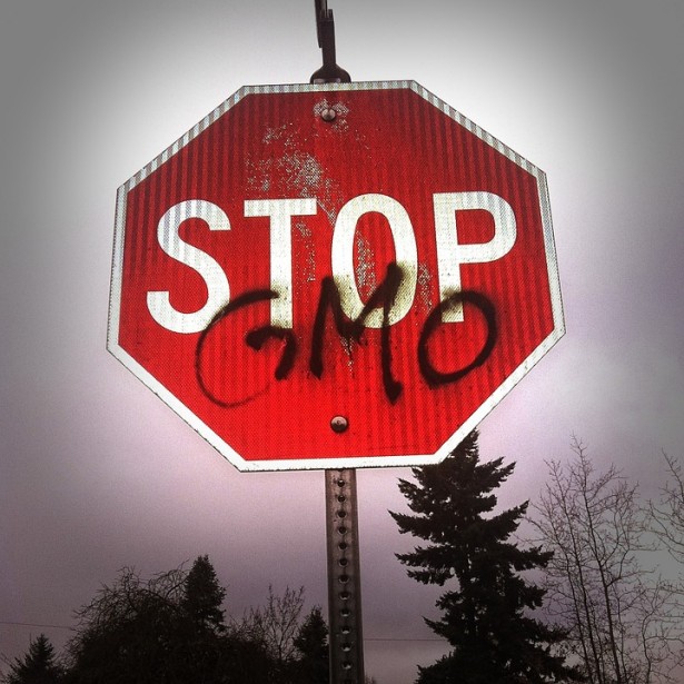 gmo-254539_960_720