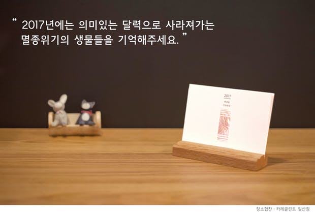 산양아,담비야, 우리 같이 살자!