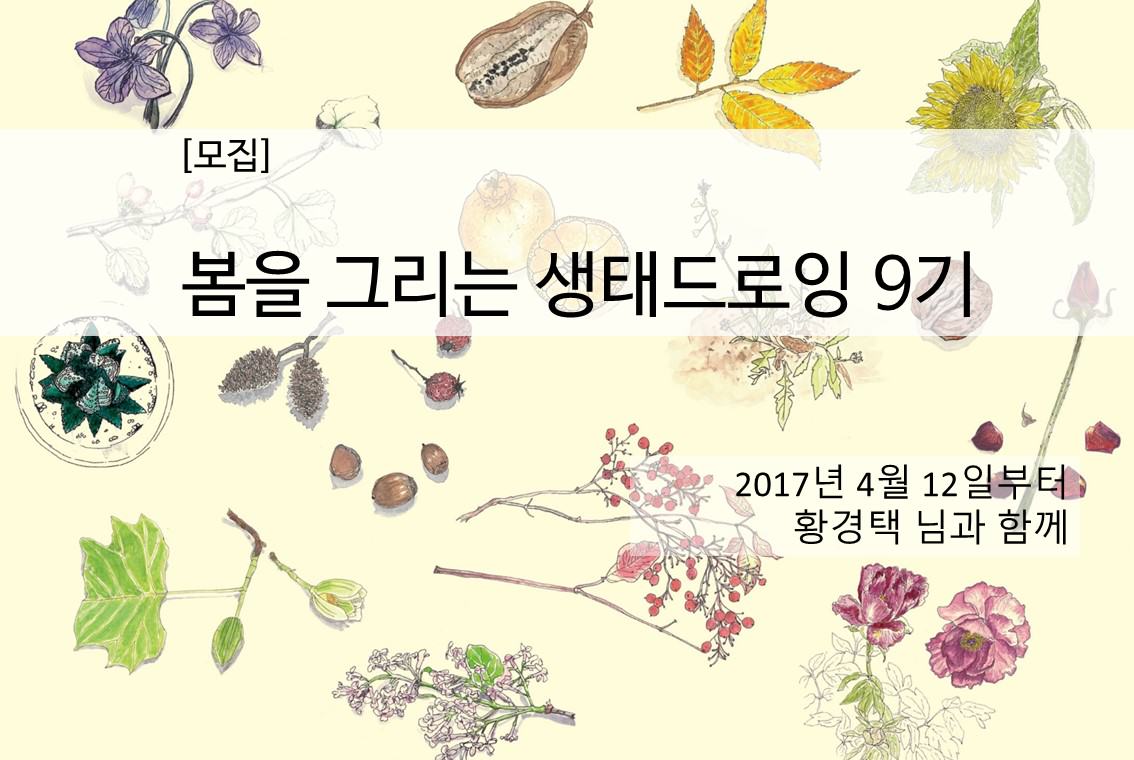 [마감] 봄을 그리는 생태드로잉 9기