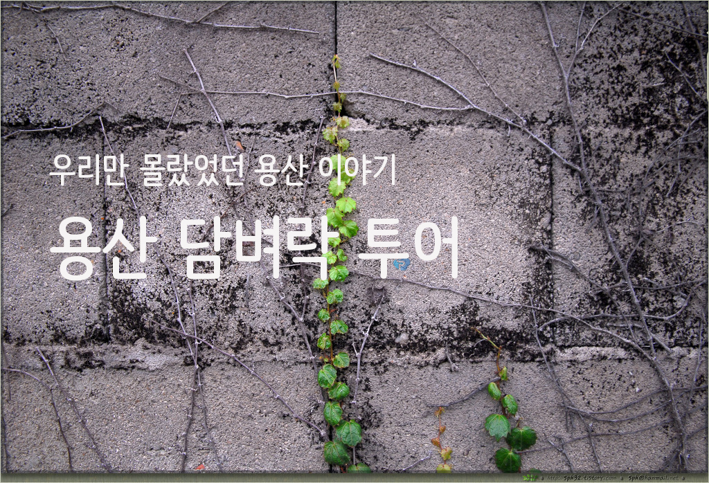 [참가신청] 주말 도심 속 생태현장여행, ‘용산 담벼락 투어’