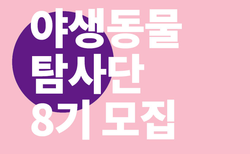 40일간의 야생체험, 야생동물탐사단 8기를 모집합니다.