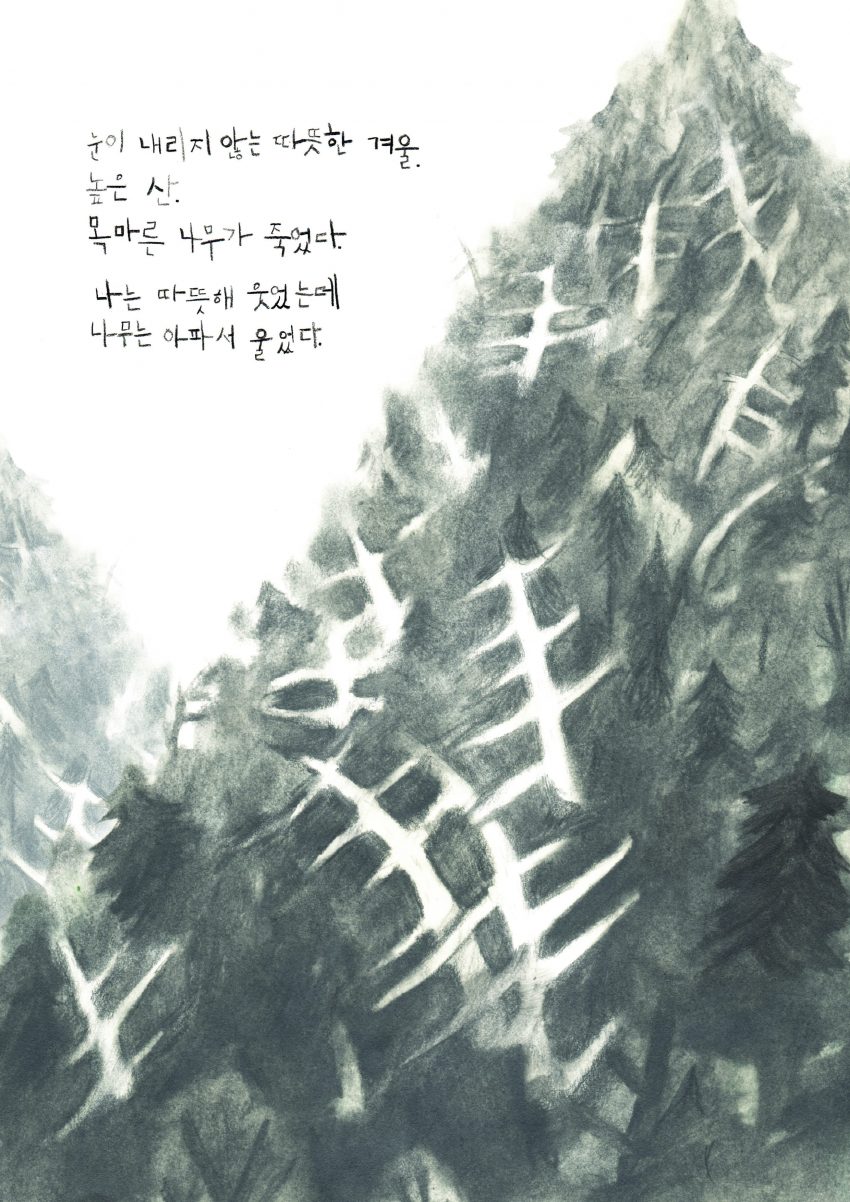 목마른 나무
