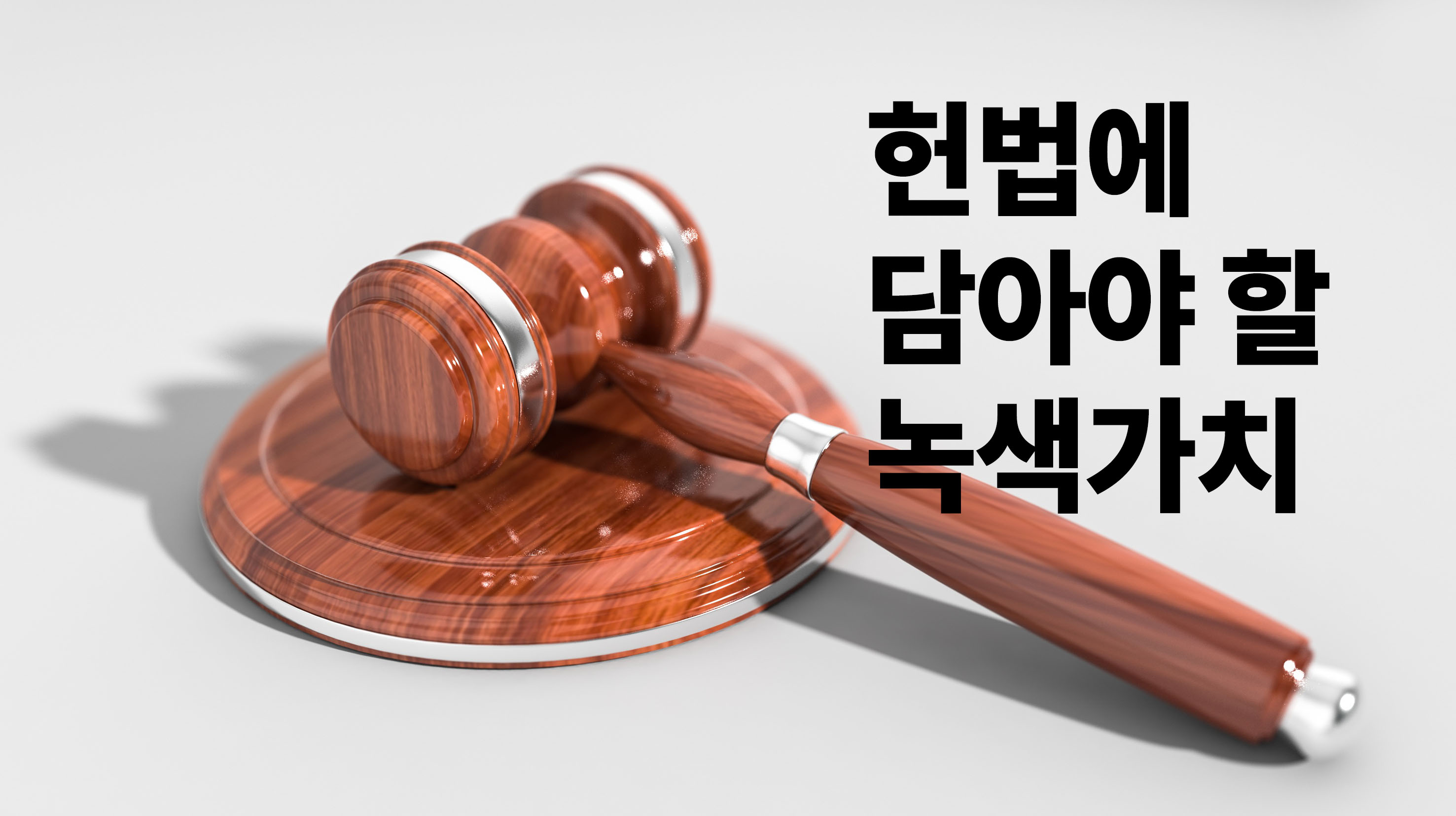 [그린테이블 이슈브리핑] 헌법에 담아야 할 녹색가치 – 녹색개헌과제