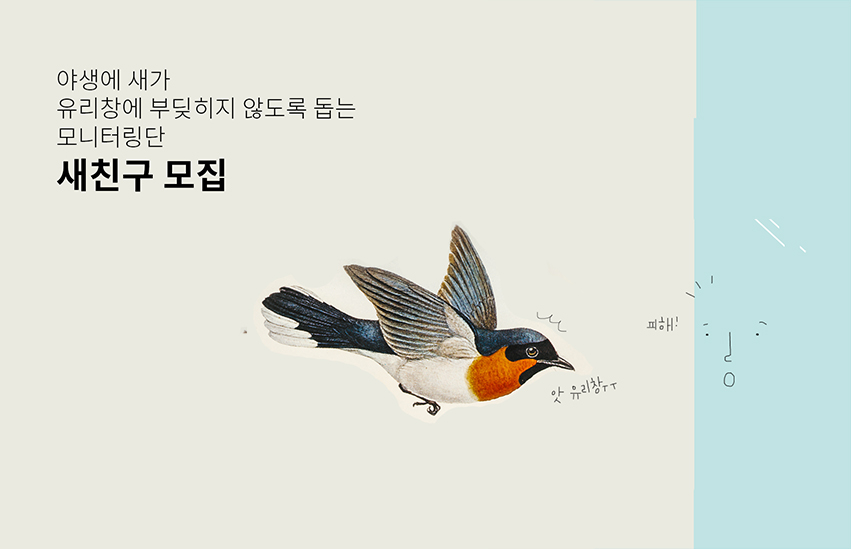 야생조류 충돌 방지 모니터링단 – [녹색연합 버드 세이버즈 ‘새친구’]를 모집합니다.