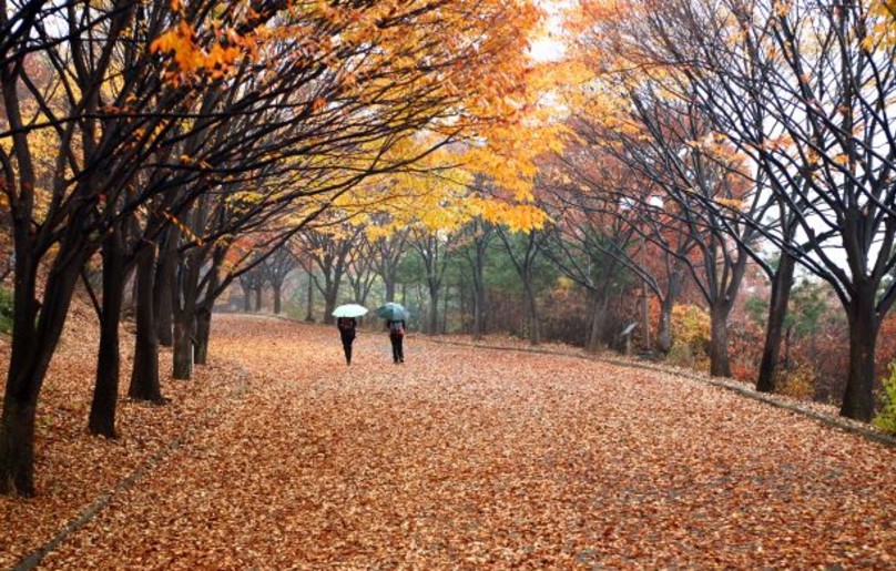 [소식지] 삶과 앎과 쉼이 있는 절기 놀이