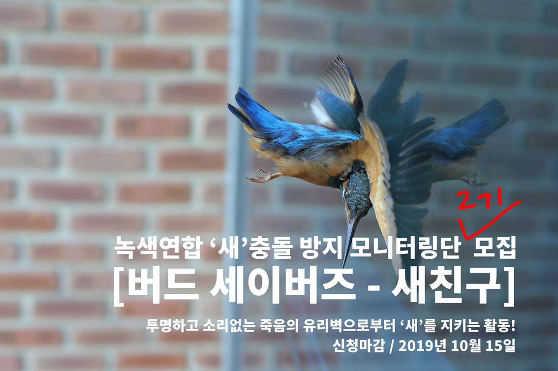 [녹색연합 버드세이버즈 – 새친구] 모집