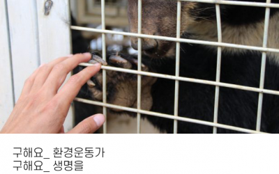 녹색연합 활동가 채용 최종 결과