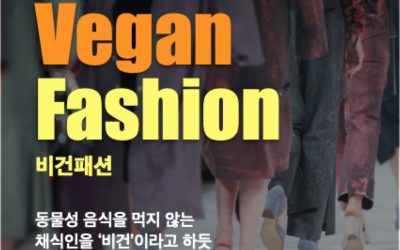 윤리적 패션의 시작 “비건패션”