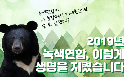 2019년, 당신과 함께 이루어낸 변화들