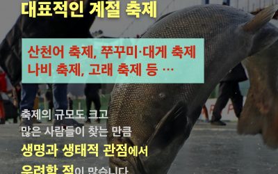 이색체험 계절축제의 이면