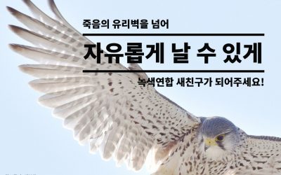[참가신청] 새친구 모집