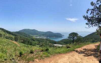 [탐방 후기] 현장을 보는 녹색활동가 시선 ① 산 하나를 날려 얻게 되는 것