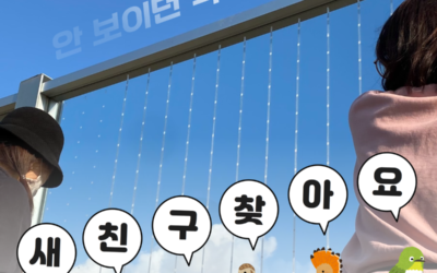 [모집] 안 보이던 벽을 ‘보이게’ 해줄 🐤새 친구 찾습니다!