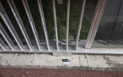 [참가 후기3] 새벽액션단 : 매일 걷던 길에, 이렇게나 많은 죽음의 흔적이 있었다